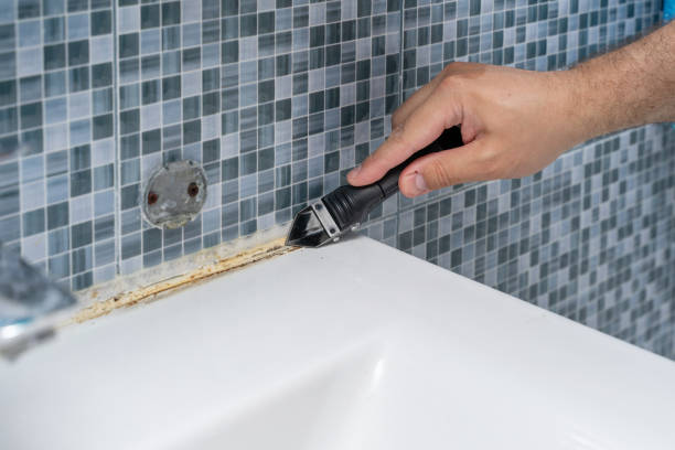 Best Emergency Mold Remediation in Cascade Locks, OR