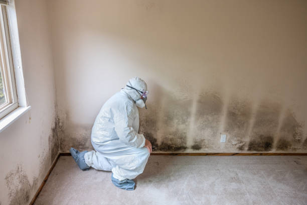 Best HVAC Mold Remediation in Cascade Locks, OR